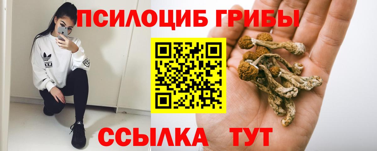 Галлюциногенные грибы мицелий Волжск